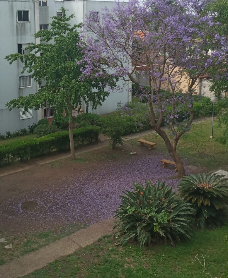 Departamento 4 Ambientes en Barrio Jose Hernandez - Espacio y Comodidad